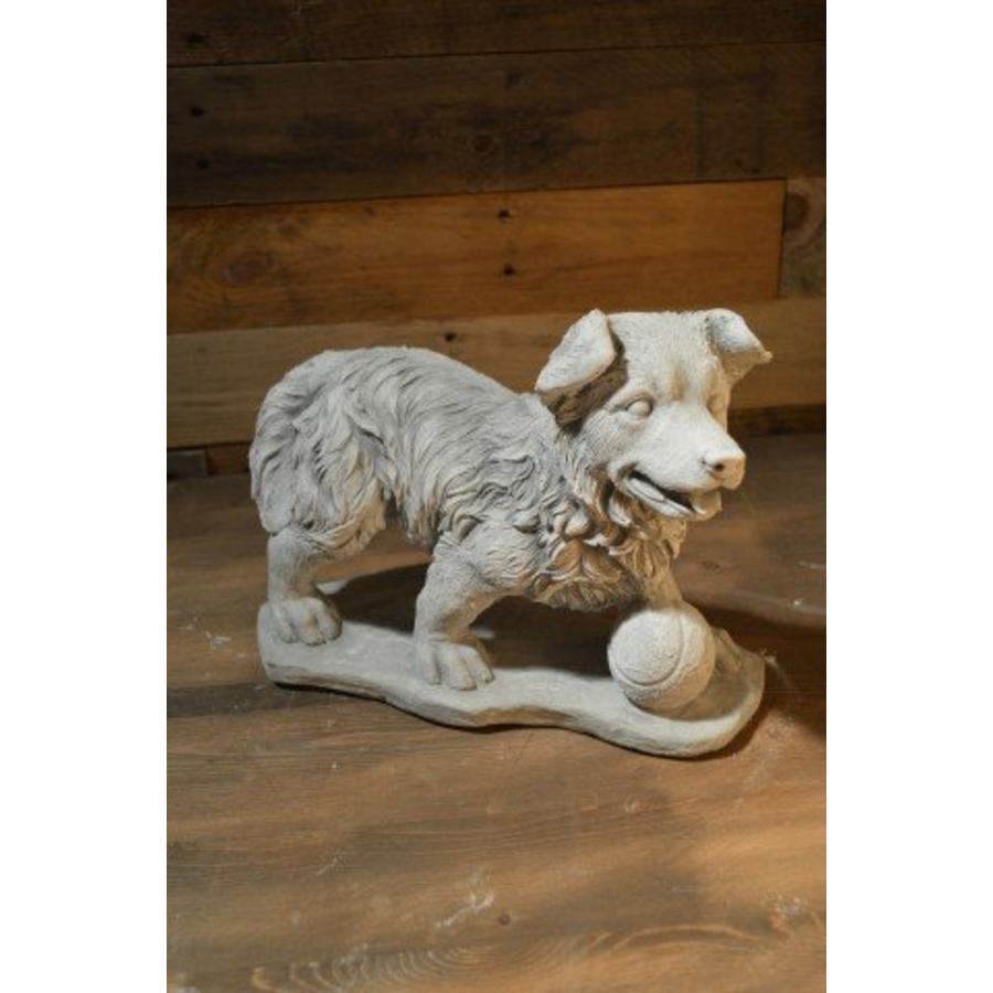 Border collie pup met tennisbal – betonnen tuinbeeld hond-1