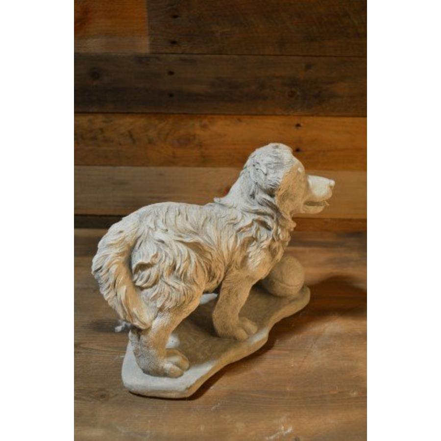 Border collie pup met tennisbal – betonnen tuinbeeld hond-3