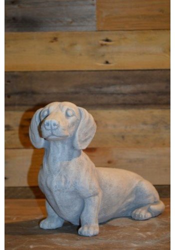 Betonnen beeld teckel gladharig 