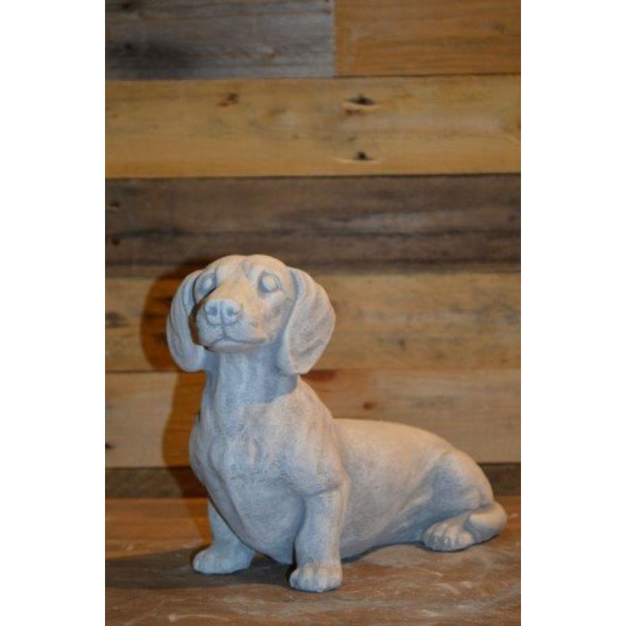 Betonnen beeld van gladharige teckel van gietsteen-1