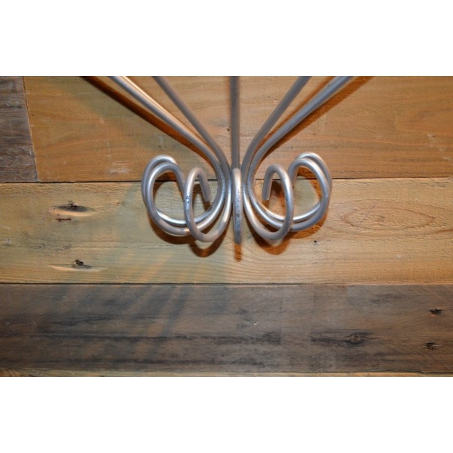 Metaal geleider voor klimplant – decoratieve en functionele tuinornamenten-5