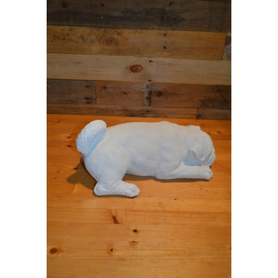 Aandoenlijk Betonnen Beeld Engelse Buldog voor Huis of Tuin-3