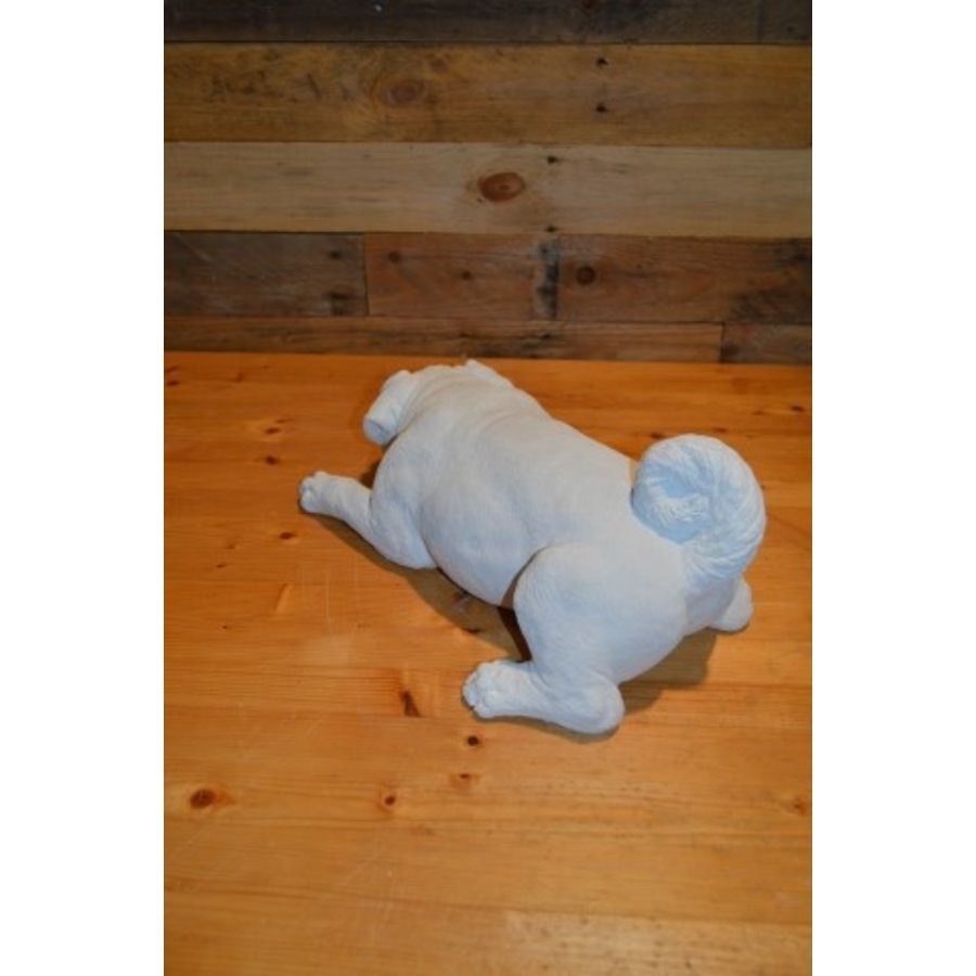 Aandoenlijk Betonnen Beeld Engelse Buldog voor Huis of Tuin-4