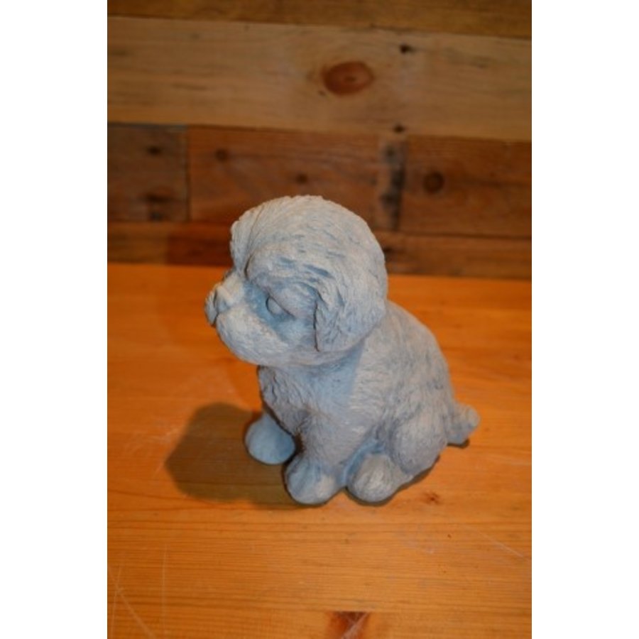 Maltezer Leeuwtje van beton - Decoratief tuin- en interieurbeeld-2