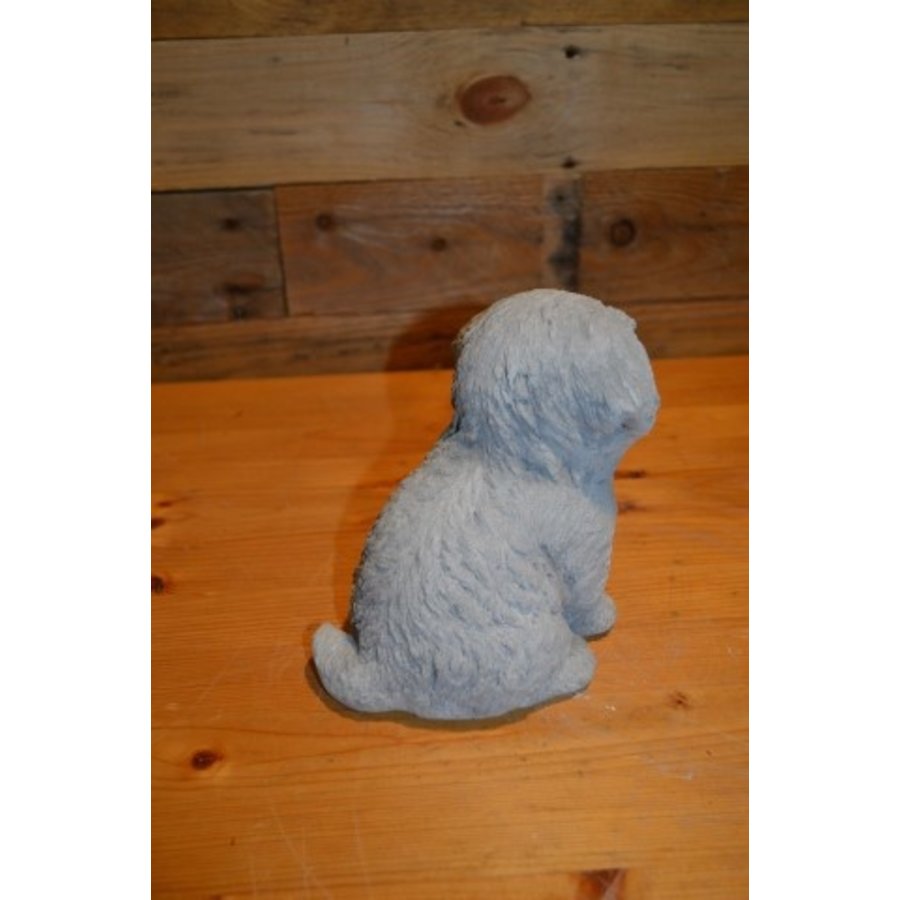 Maltezer Leeuwtje van beton - Decoratief tuin- en interieurbeeld-3