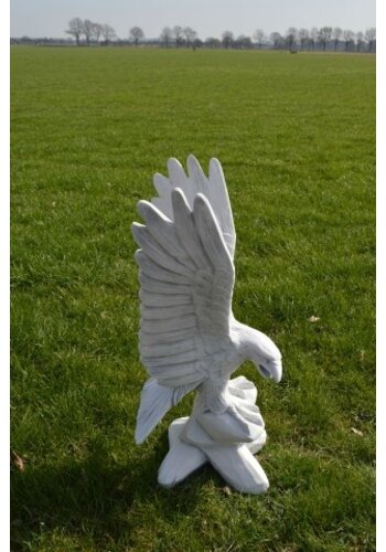 Betonnen beeld arend met vleugels omhoog 