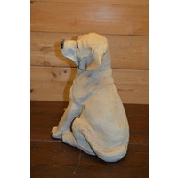 thumb-Golden retriever hond-3