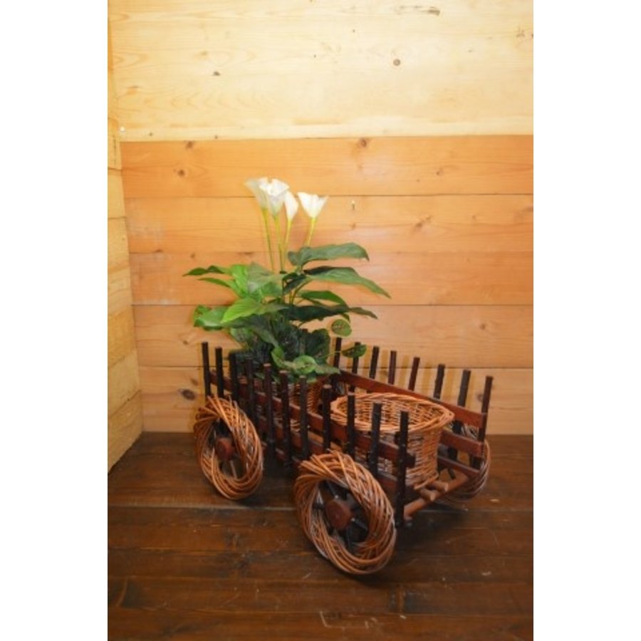 Decoratief karretje met 2 plantenmandjes-1