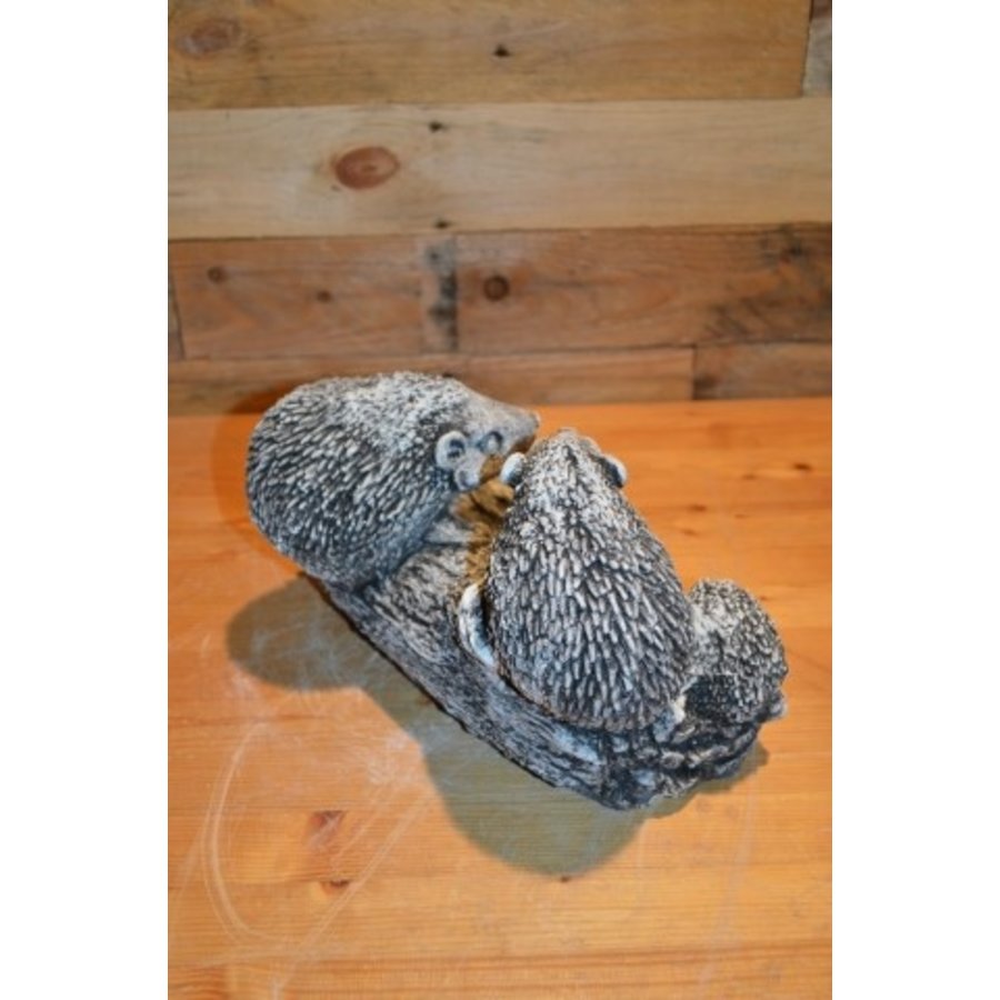 Betonnen familie egel op water- of voerbakje voor binnen en buiten-3