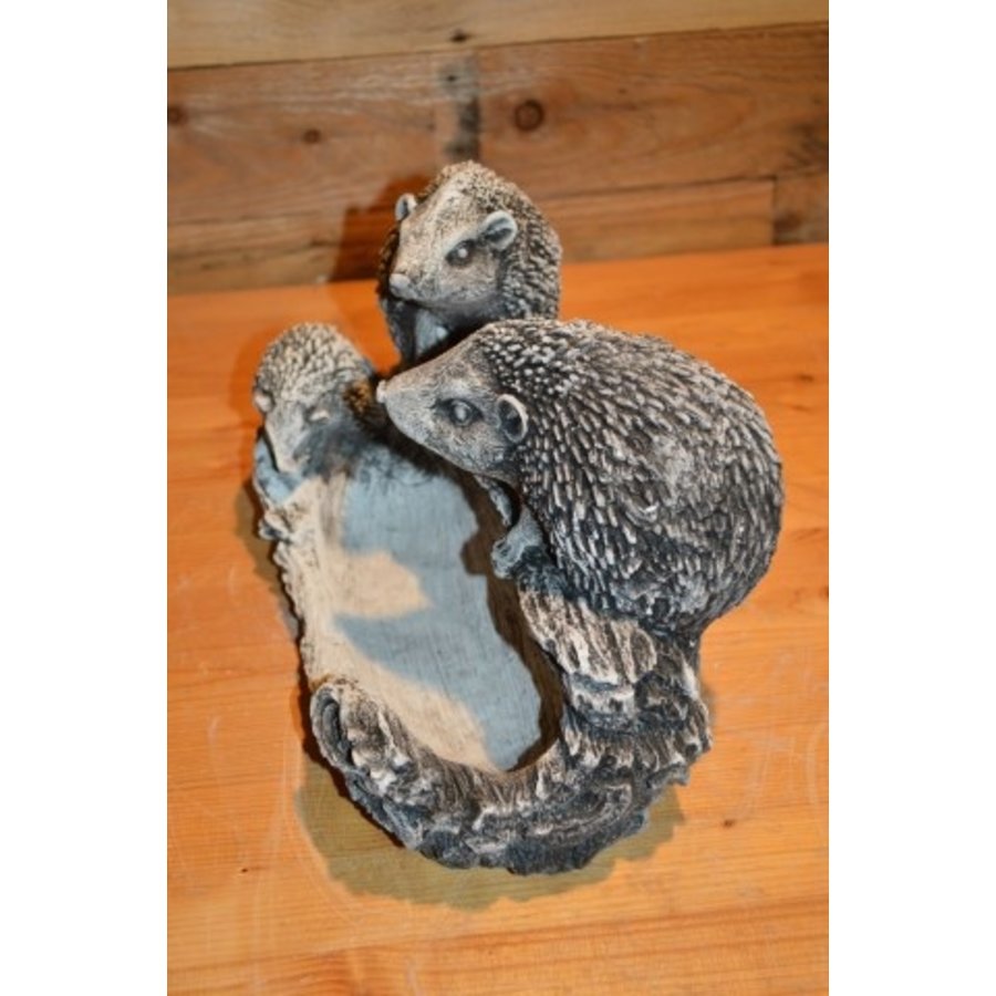 Betonnen familie egel op water- of voerbakje voor binnen en buiten-5