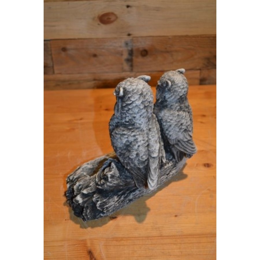 Betonnen familie uil op drink- en voerbakje voor binnen en buiten-4