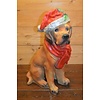 LoodsVol, Tuinbeelden Kerst labrador hond met muts