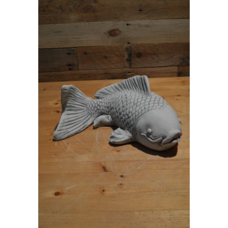 Betonnen Koi karper – Zwemmende vis voor vijver of Japanse tuin-1