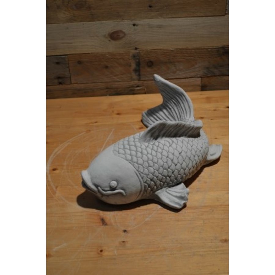 Betonnen Koi karper – Zwemmende vis voor vijver of Japanse tuin-2