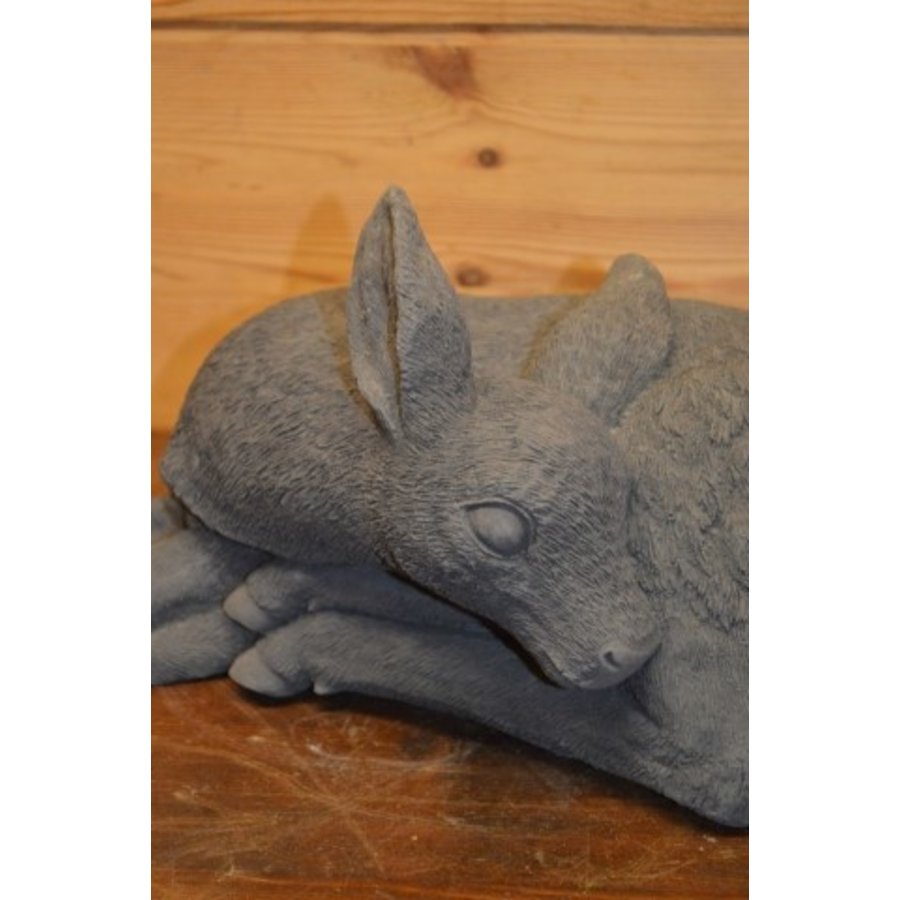 Betonnen beeld van een jong liggend ree voor in de tuin-2