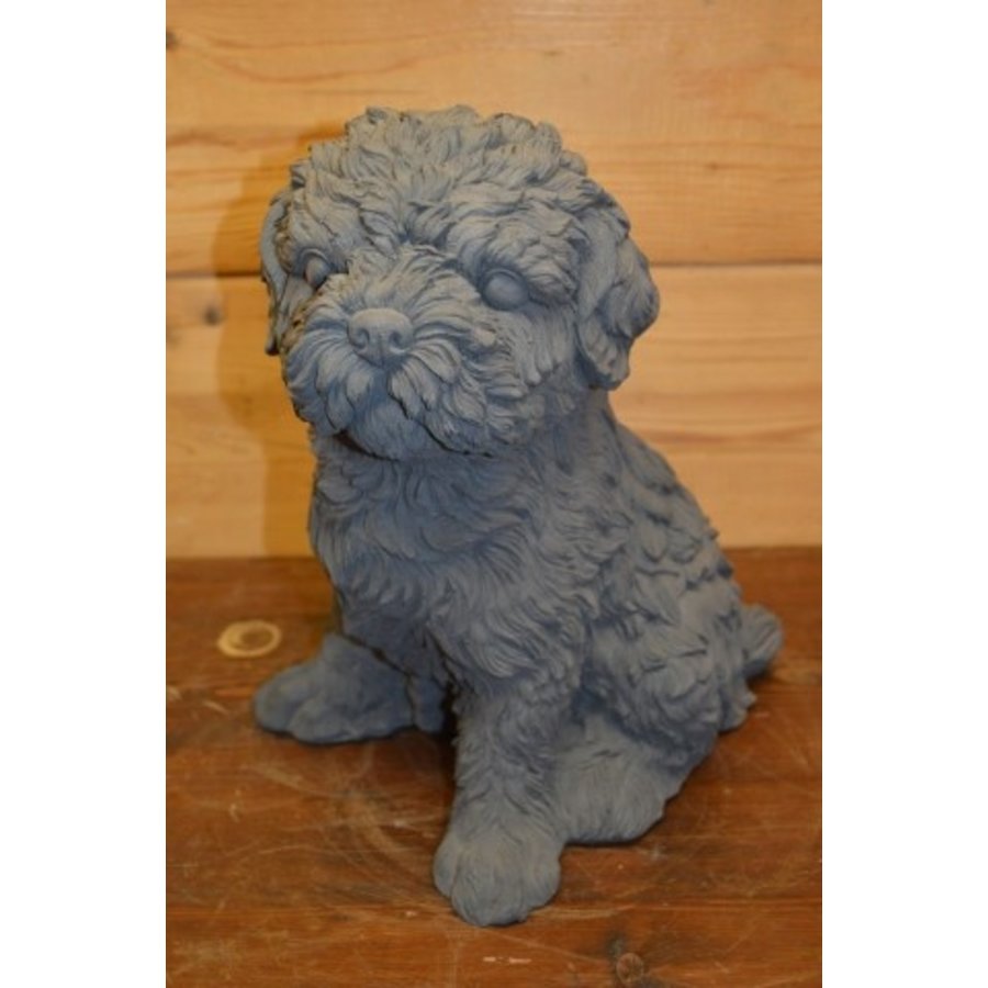 Betonnen beeld van een zittende Boomer of Shih Tzu hond-1