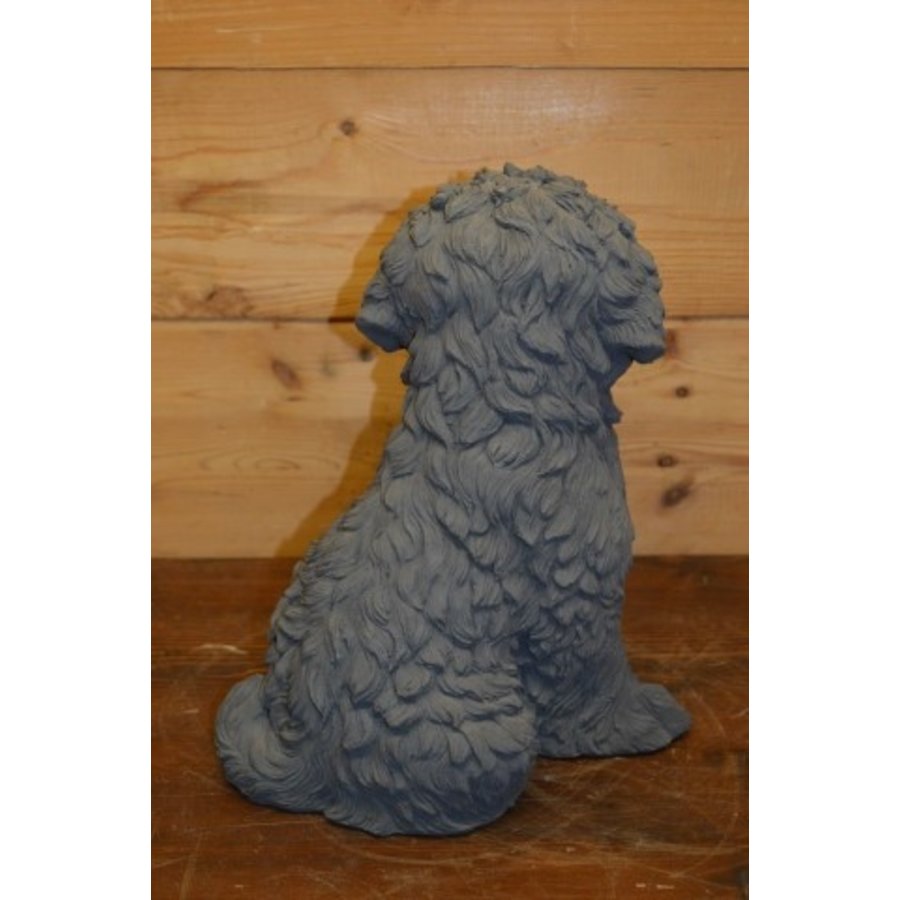 Betonnen beeld van een zittende Boomer of Shih Tzu hond-5