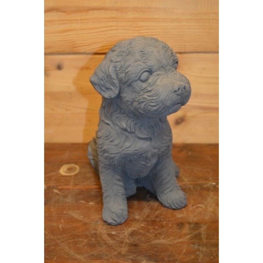 Betonnen beeld van een zittend Maltezer hondje voor binnen of buiten-2