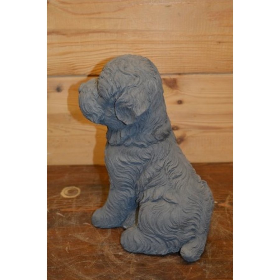 Betonnen beeld van een zittend Maltezer hondje voor binnen of buiten-5