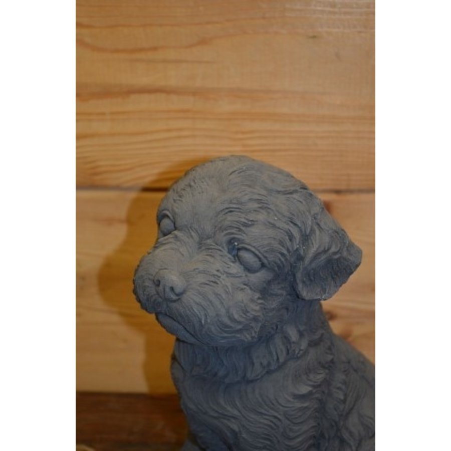 Betonnen beeld van een zittend Maltezer hondje voor binnen of buiten-6