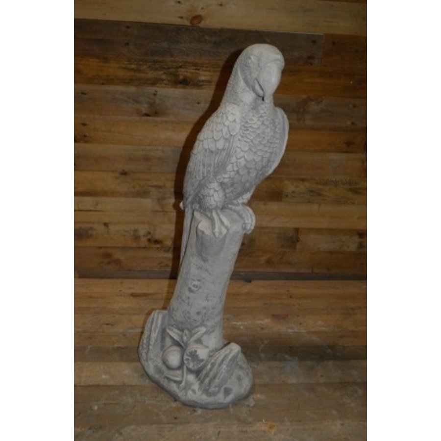 Grote ara op boomstronk – betonnen tuinbeeld-2