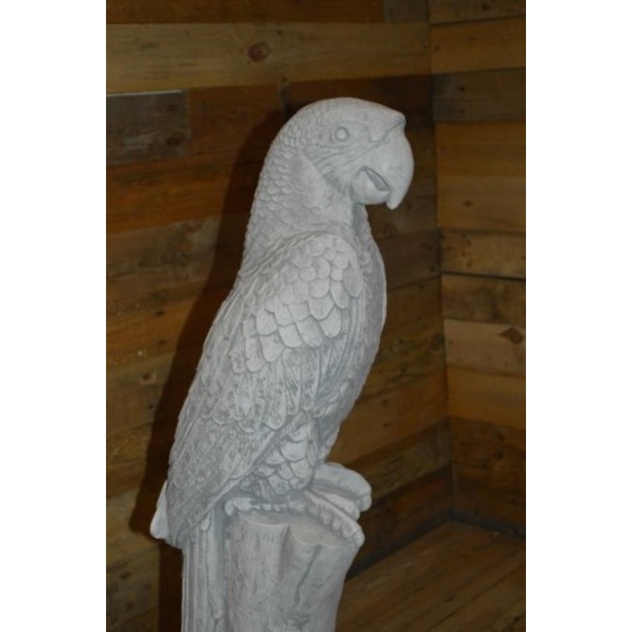 Grote ara op boomstronk – betonnen tuinbeeld-3