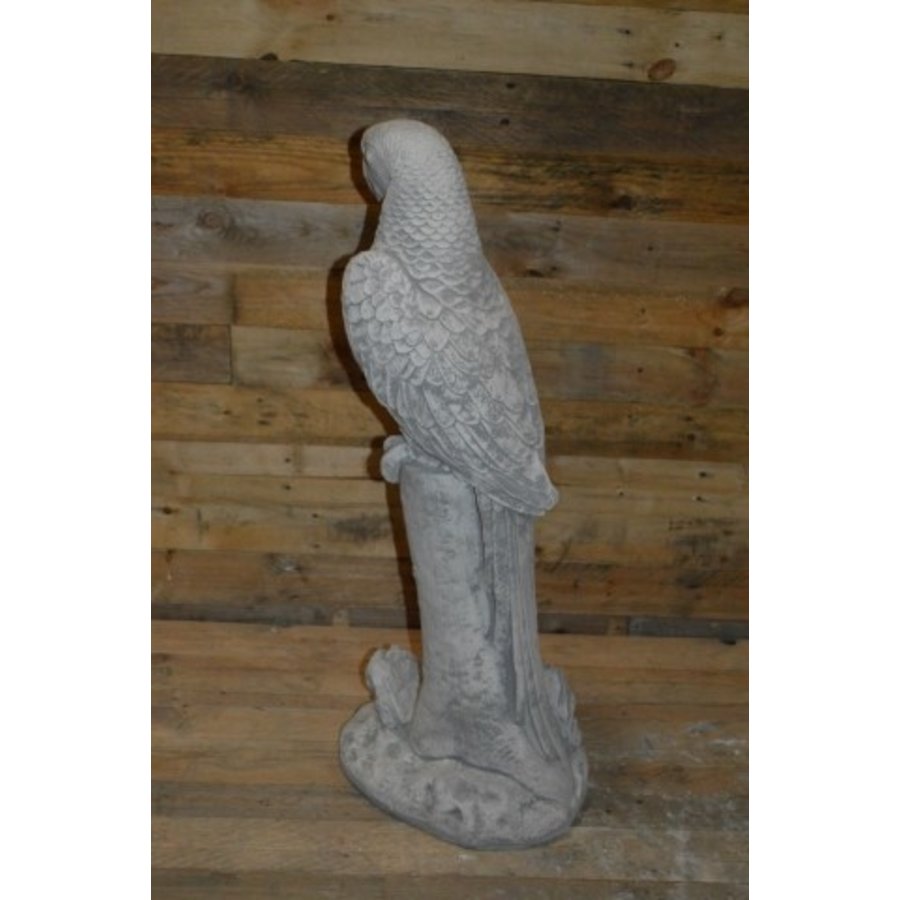 Grote ara op boomstronk – betonnen tuinbeeld-4