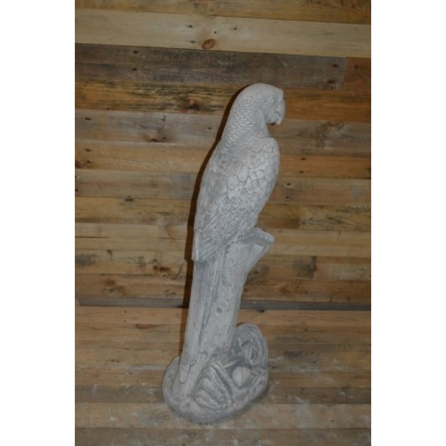 Grote ara op boomstronk – betonnen tuinbeeld-5