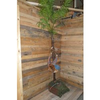 thumb-Vintage aap in palmboom met werkend opblaasmechaniek-2