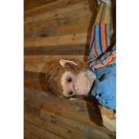 thumb-Vintage aap in palmboom met werkend opblaasmechaniek-3