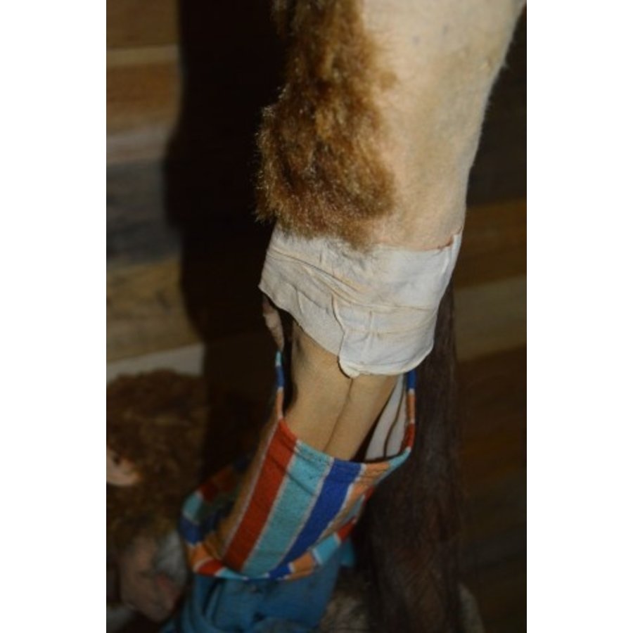 Vintage aap in palmboom met werkend opblaasmechaniek-7