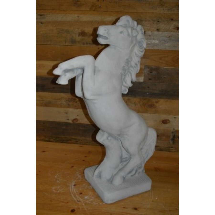 Betonnen tuinbeeld van steigerend paard met lange manen – decoratief beeld voor oprit of manege-3