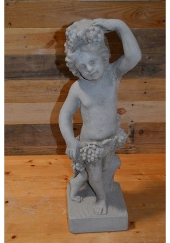 Beeld jonge man – herfst 