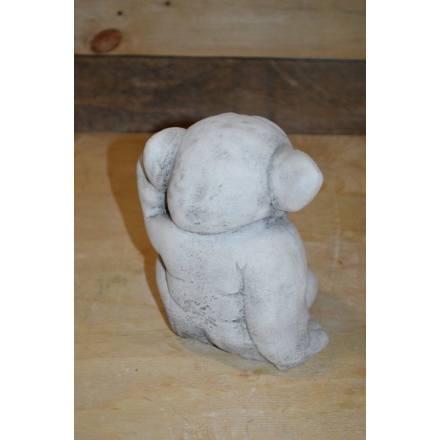 Bedachtzame trol met grote oren en geinige uitstraling-3