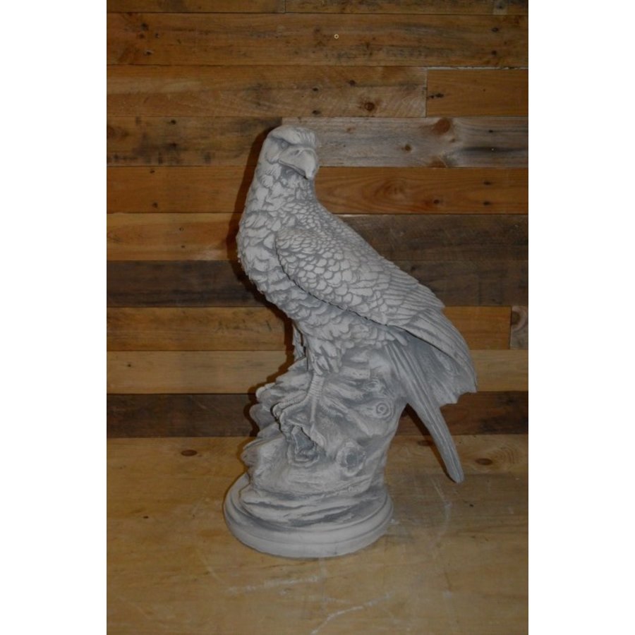 Arend of Adelaar op boomstronk zittend en speurend naar prooi-1