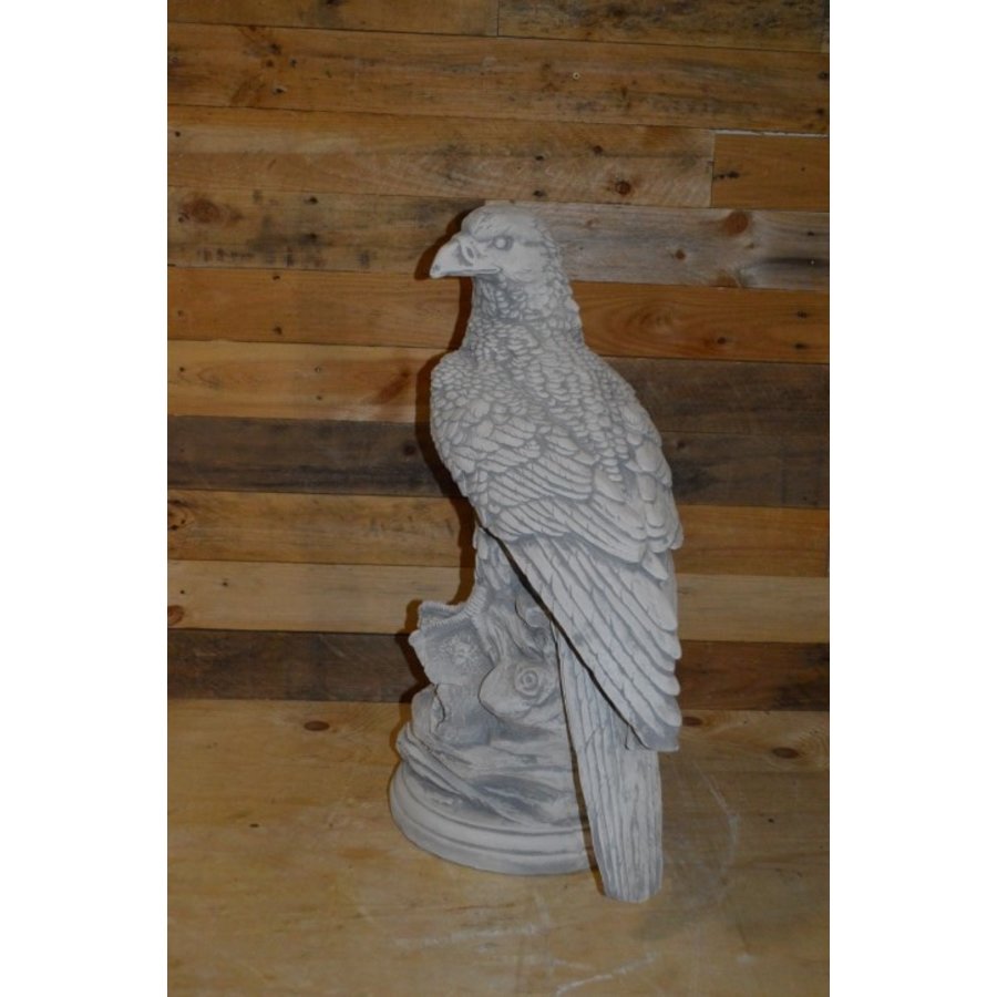 Adelaar op boomstronk van beton – natuurgetrouw beeld-2