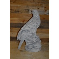 thumb-Adelaar op boomstronk van beton – natuurgetrouw beeld-3