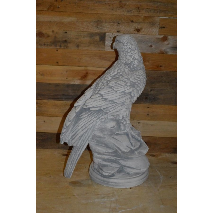 Arend of Adelaar op boomstronk zittend en speurend naar prooi-3