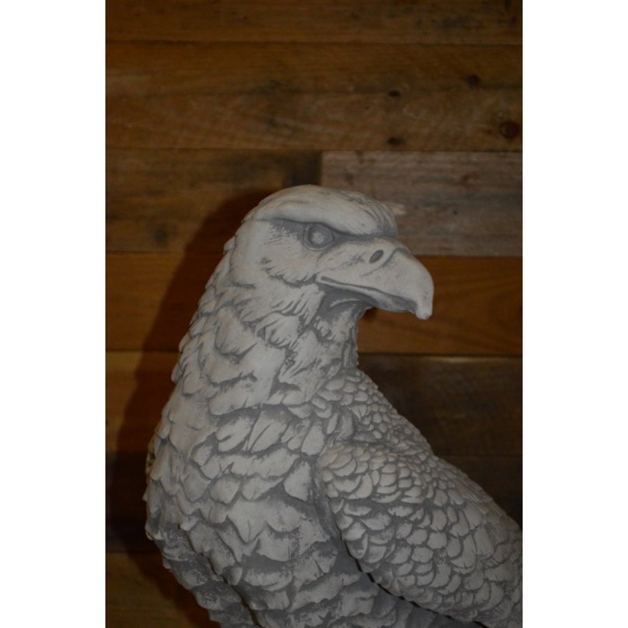 Adelaar op boomstronk van beton – natuurgetrouw beeld-5