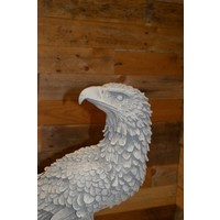 thumb-Adelaar achterom kijkend op boomstronk van beton-3