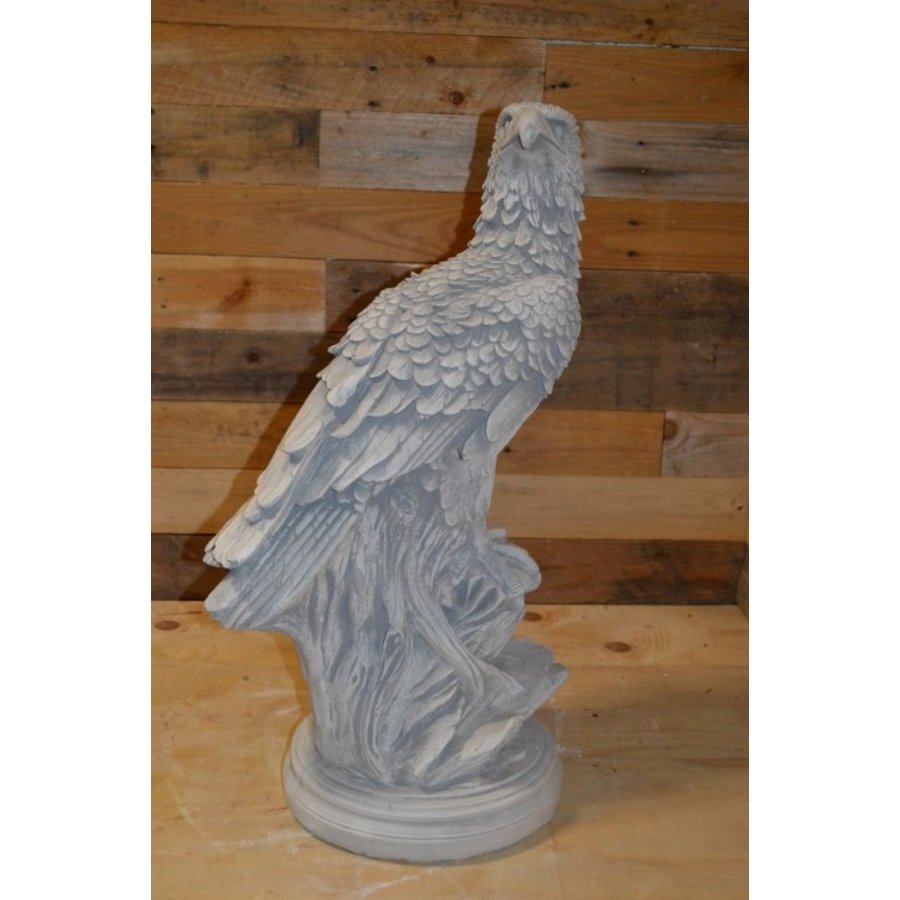 Adelaar achterom kijkend op boomstronk van beton-4