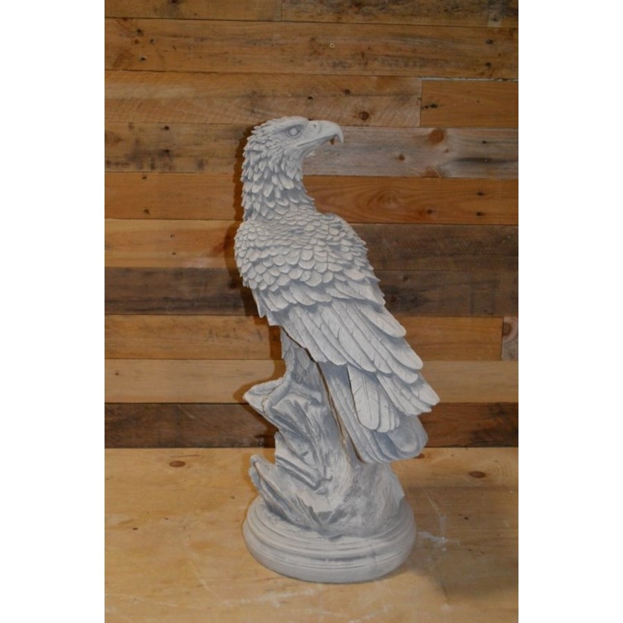 Arend of adelaar op boomstronk kijkend over zijn schouder-1