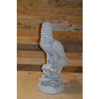 thumb-Arend of adelaar op boomstronk kijkend over zijn schouder-5