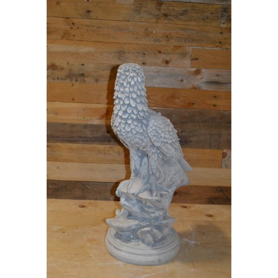 Adelaar achterom kijkend op boomstronk van beton-5