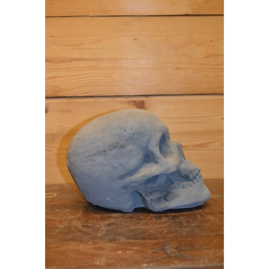 Stoer betonnen schedelbeeld voor binnen en buiten-2