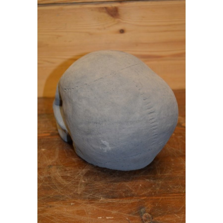 Stoer betonnen schedelbeeld voor binnen en buiten-3