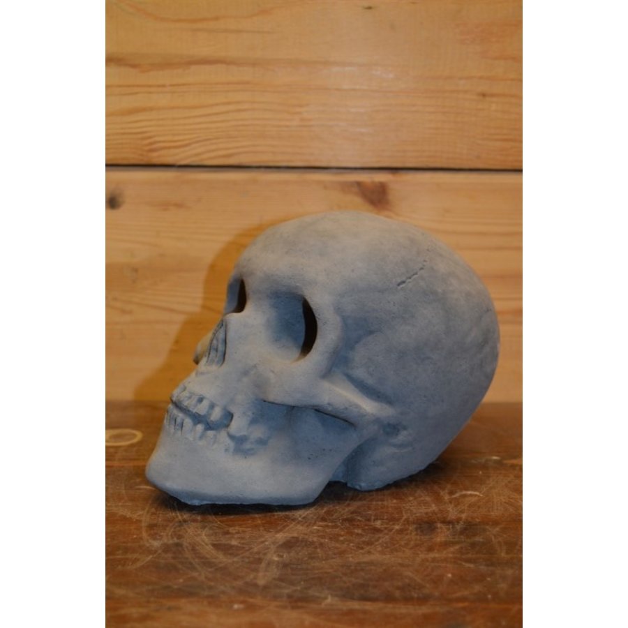 Stoer betonnen schedelbeeld voor binnen en buiten-4