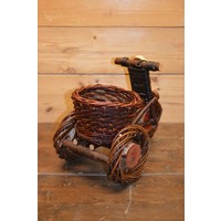 thumb-Wilgentenen driewieler fiets-3