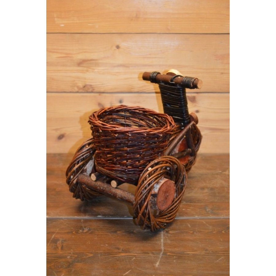 Wilgentenen driewieler fiets-3