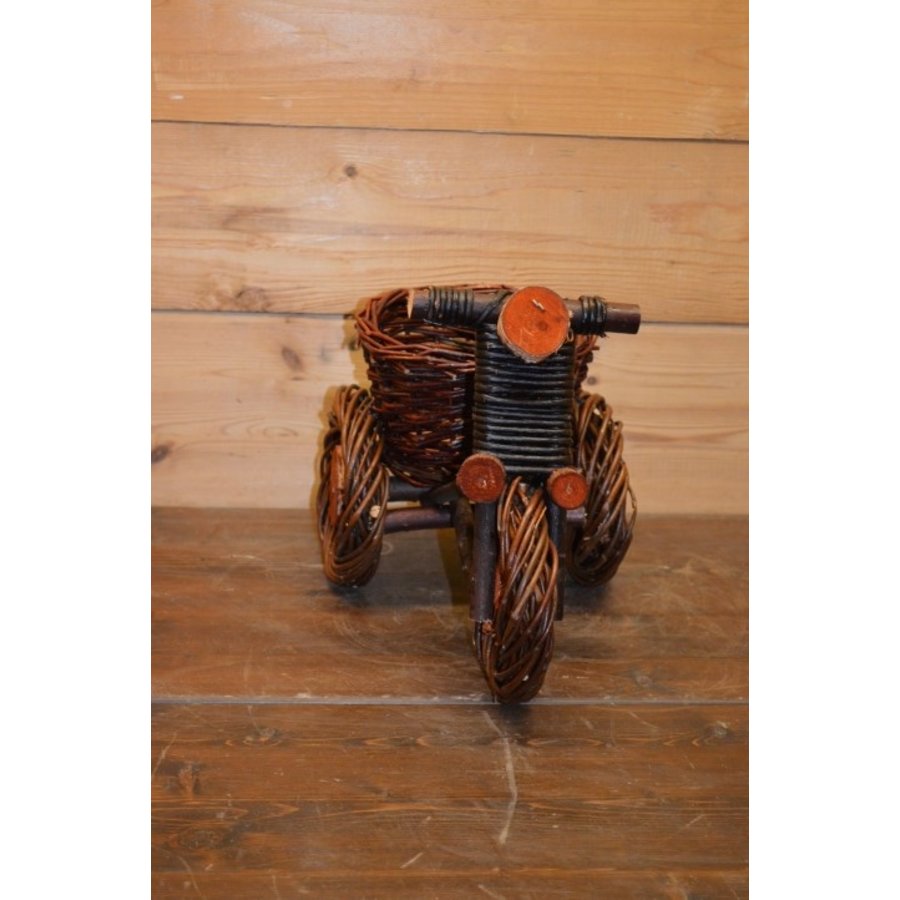 Wilgentenen driewieler fiets-4